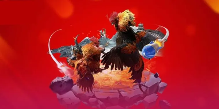 Đá Gà SanClub Hé Lộ Bí Kíp Thắng Lớn Từ Cao Thủ