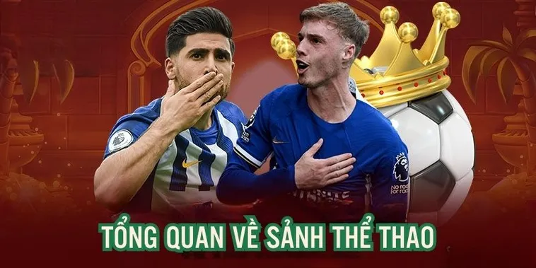 Khám Phá Sảnh Thể Thao SanClub Đỉnh Cao Cùng Ngàn Kèo Cược